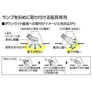 Panasonic パナソニック ケース販売 10個セット LED電球 エバーレッズ 