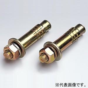 ユニカ ルーティセット BSタイプ・Mねじ(ステンレス) ねじ径M12 適合材:コンクリート・石材 25本入 BS-12200_set