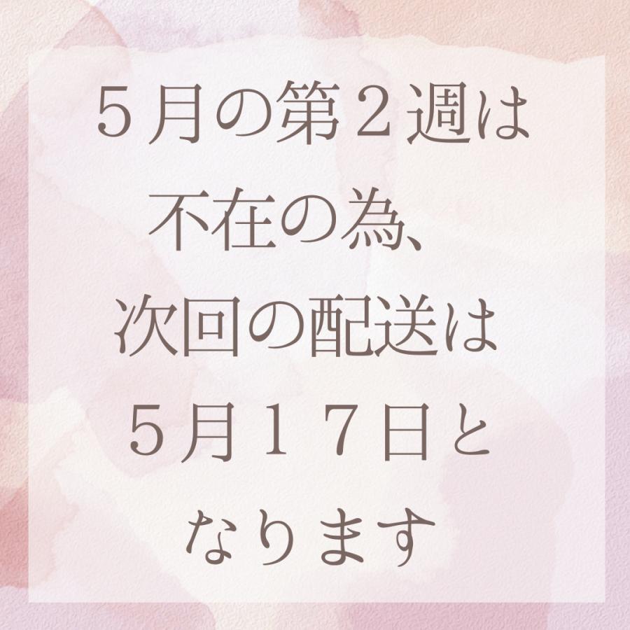 GI 電動自転車 パナソニック グリッター ２０インチ 16AH | Panasonic | 01