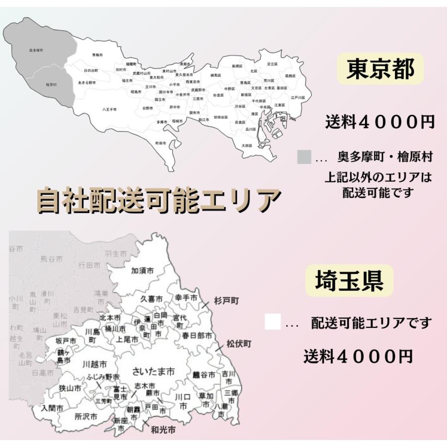 電動自転車 子供乗せ JI パナソニック ギュット Gyutto ２０インチ 3人乗り | Panasonic | 04