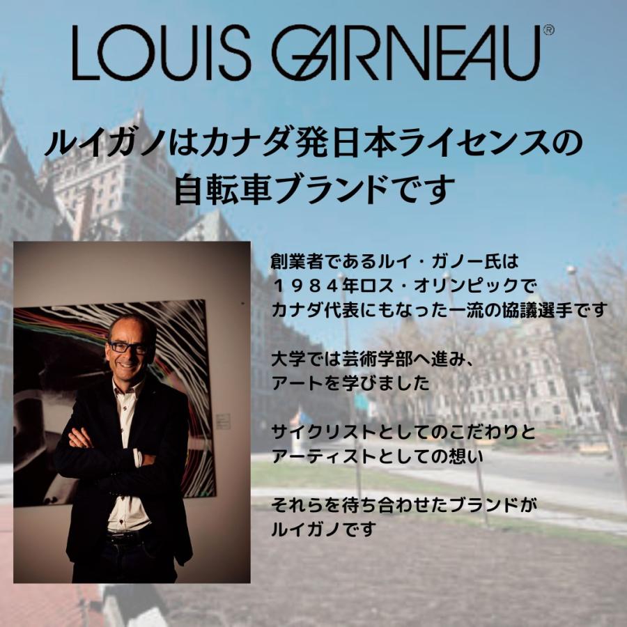 KD 電動自転車 ルイガノ パナソニック製モーター 前２０インチ／後ろ１８インチ | ルイガノ | 01