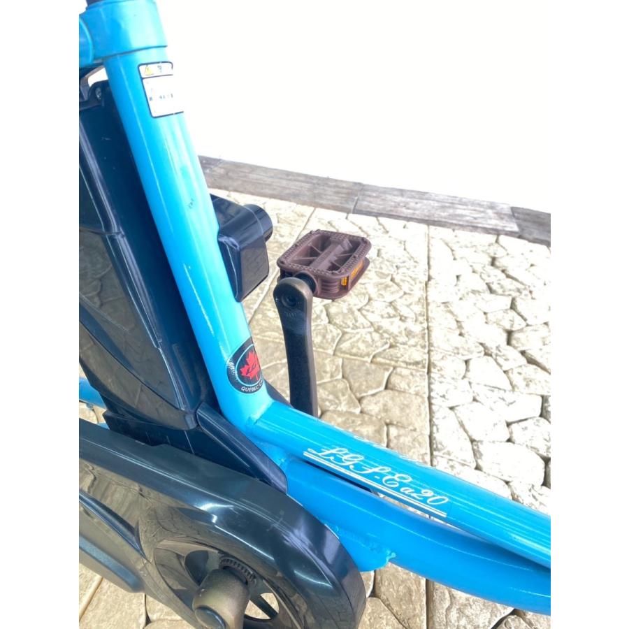 KD 電動自転車 ルイガノ パナソニック製モーター 前２０インチ／後ろ１８インチ | ルイガノ | 09