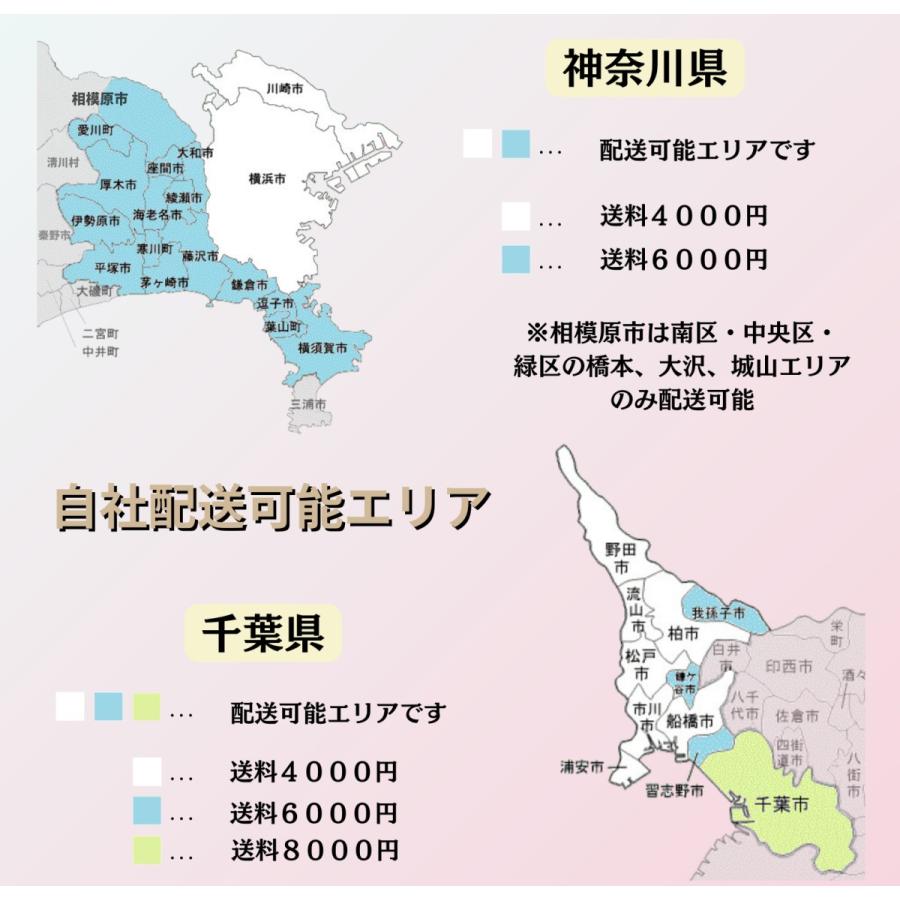 電動自転車 子供乗せ  WP パナソニック ギュット ２０インチ 3人乗り | Panasonic | 05