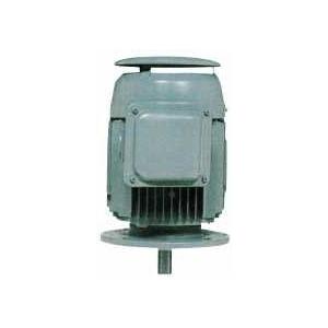 日立産機システム VTFOX-K 2.2KW 4P 200V 三相モータ ザ・モートル 安全増防爆型 (全閉外扇型 立型)