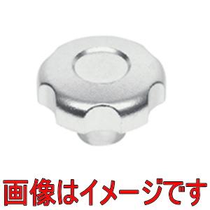 イマオコーポレーション HK40-SUS ハンドノブ SUS製 穴なし : 伝動機ドットコム DIY・日曜大工店 - 通販 - Yahoo ...