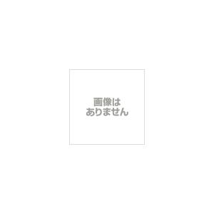 NTN ベアリング 21315 自動調心ころ軸受 : 伝動機ドットコム DIY・日曜