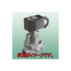 CKD AP11-25A-03A-AC200V パイロット式2ポート電磁弁(マルチ CKD AP11-25A-03A-AC200V パイロット式2ポート電磁弁(マルチ