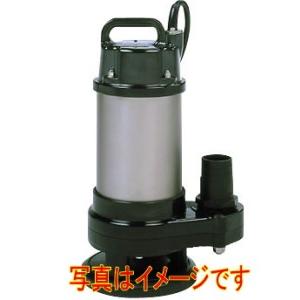 寺田ポンプ製作所 CX-400 水中ポンプ テクポン 汚物混入水用 非自動 50Hz