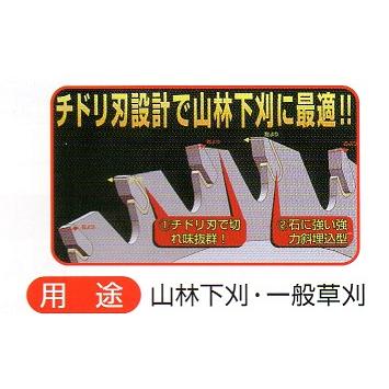 セフティ― 最高級刈払機用チップソー 軽量タイプ 横綱強君 255mm セフティ― 最高級刈払機用チップソー 軽量タイプ 横綱強君 255mm