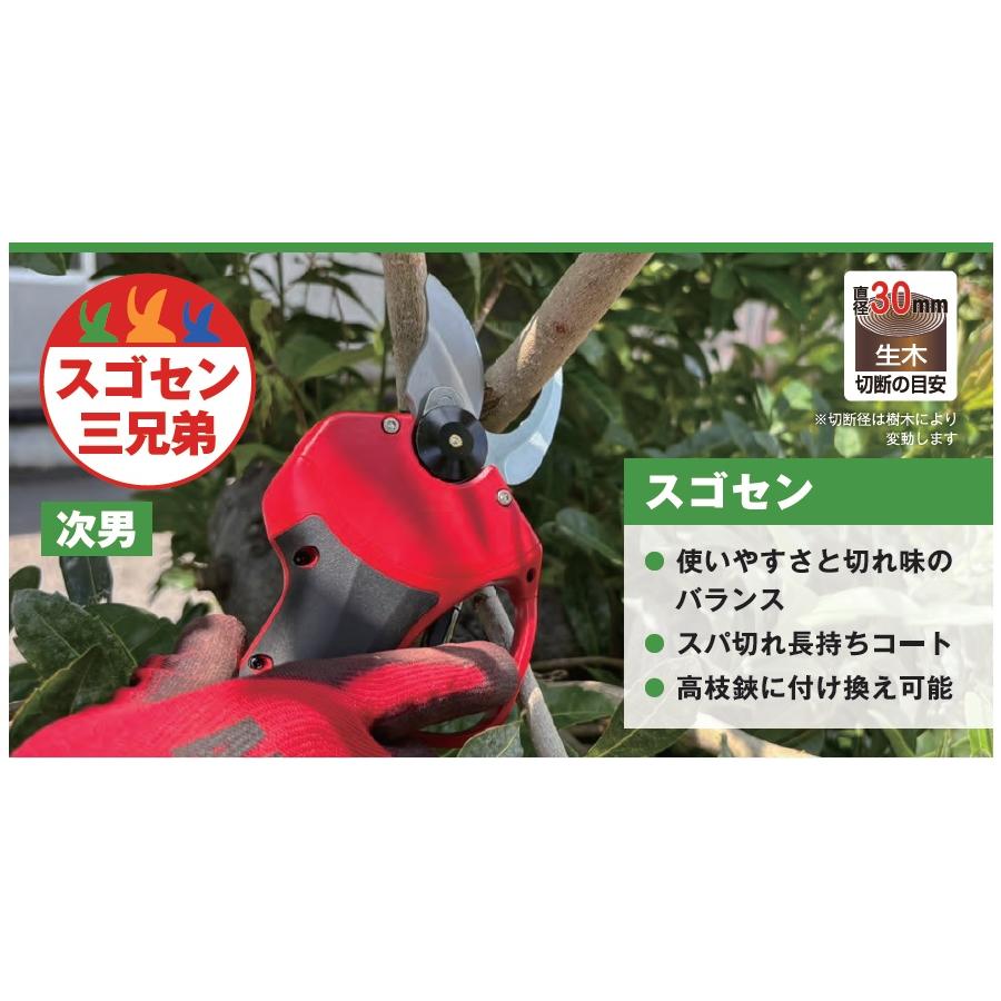 アルス コードレス充電式剪定鋏 替刃式 EP-720 新型 （バッテリー2個