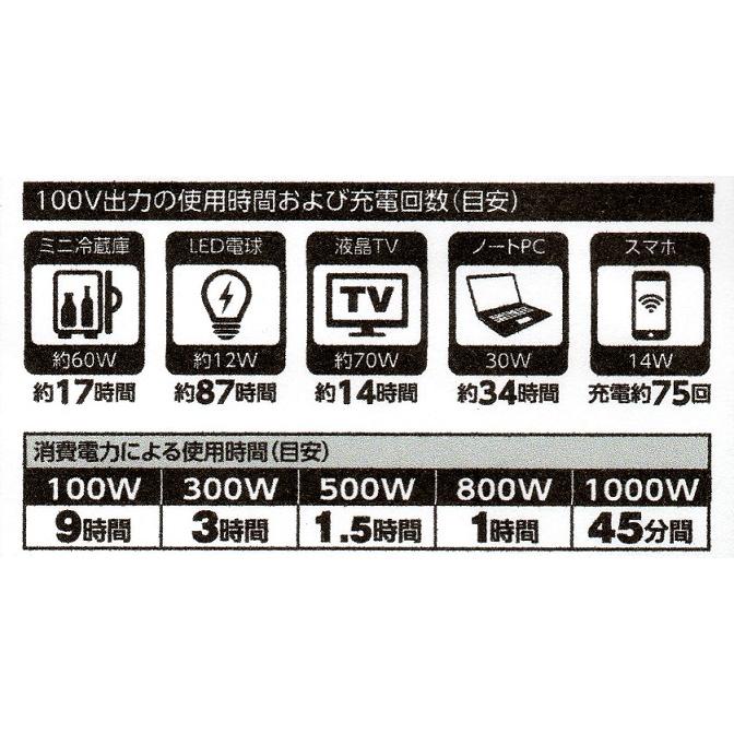 日動工業 山善 ポータブル電源 パワーバンク1000 AC100V LPE 日動工業 山善 ポータブル電源 パワーバンク1000 AC100V LPE