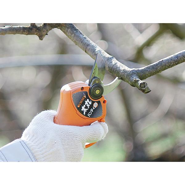 ニシガキ 充電式剪定鋏 太丸ハンディ25 N-928 （バッテリー、充電器付