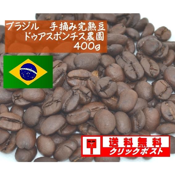 ブラジル　手摘完熟豆　ドゥアスポンチス農園 400g｜denen-coffee