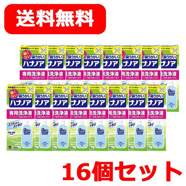 小林製薬 【送料無料・16本セット・1ケース】 ハナノア【専用