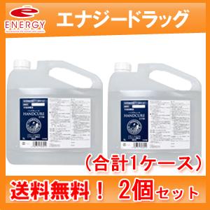 ブランド登録なし - 【決める医薬品部外品】【小堺製薬】 【2個仕掛ける】ハンドキュールET80 5L [足し加える1容れもの] 傷、消毒-医薬品、医薬部外品