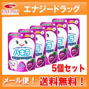 【雪印ビーンスターク】【メール便！送料無料！】【5個セット】ハキラ　ぶどう味　1袋（60粒入り）/１歳半頃から/キシリトール｜denergy2