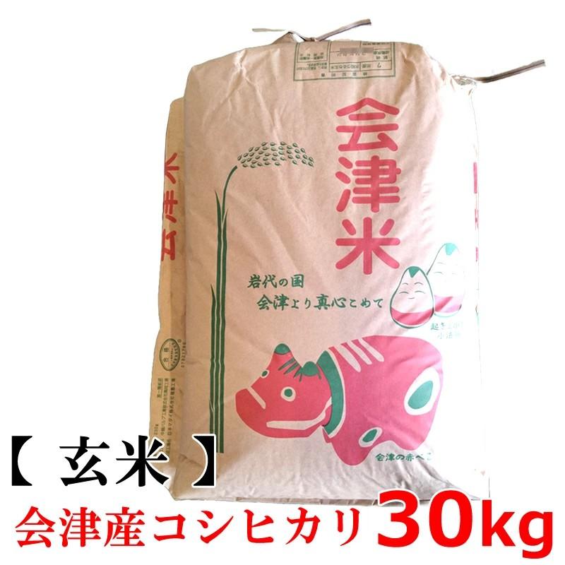 新米】【送料無料】【玄米】2025年度産 会津産 コシヒカリ 30kg【東北