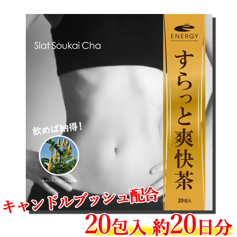 昭和製薬 健康茶 茶師監修 エナジー すらっと爽快茶 20包 （約20