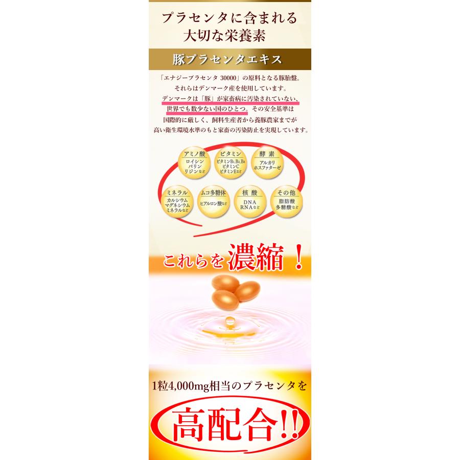 ENERGY エナジー プラセンタ30000 30カプセル 約10〜15日分 ENERGY エナジー プラセンタ30000 30カプセル 約10〜15日分