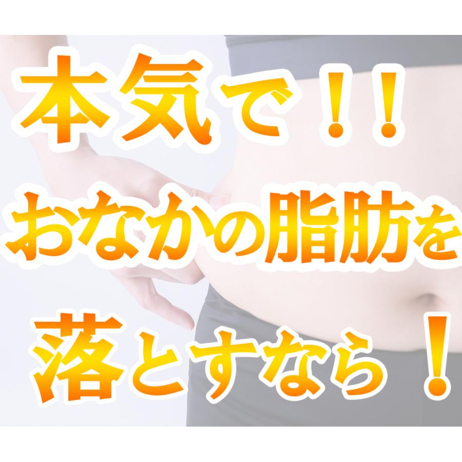 【送料無料・3個セット】エナジー 防風通聖散料5000  360錠×3セット 合計90日分 3ヶ月分 満量処方 5000mg　肥満症 便秘 むくみ 第2類医薬品 | ブランド登録なし | 01
