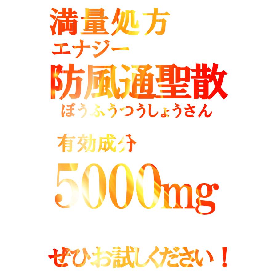 【送料無料】エナジー 防風通聖散料5000  360錠　満量処方 5000mg　肥満症 便秘 むくみ 生活習慣などによる肥満症を改善　内臓脂肪を分解・燃焼　第2類医薬品｜denergy2｜15