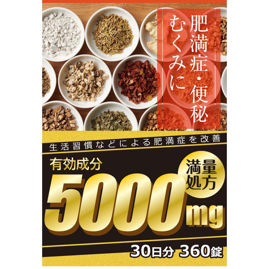 エナジー 防風通聖散料5000 360錠 30日分 1ヶ月分 満量処方 5000mg