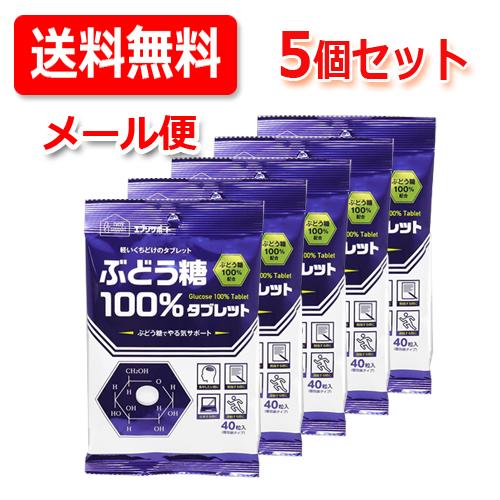 メール便！送料無料！5セット！】【日本薬剤】 エブリサポート