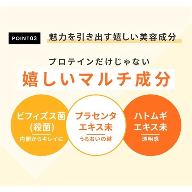 FINE JAPAN ファイン AYAプロテインダイエット 贅沢ショコラ風味(300g