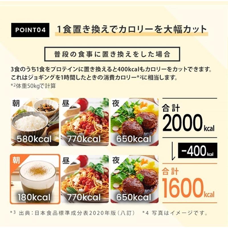 FINE JAPAN ファイン AYAプロテインダイエット 贅沢ショコラ風味(300g