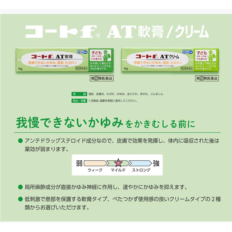 田辺三菱製薬 送料無料・2個セット フルコートF 軟膏 10g×2 第(2 田辺三菱製薬 送料無料・2個セット フルコートF 軟膏 10g×2 第(2
