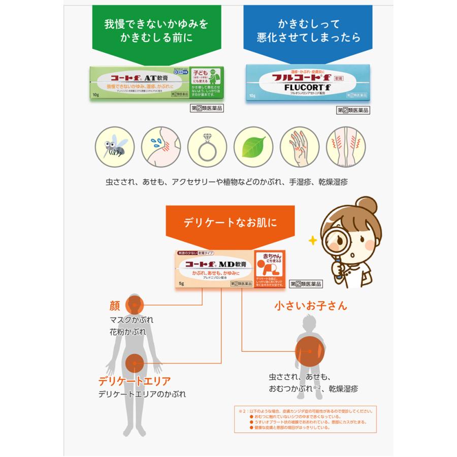 田辺三菱製薬 送料無料・2個セット フルコートF 軟膏 10g×2 第(2 田辺三菱製薬 送料無料・2個セット フルコートF 軟膏 10g×2 第(2