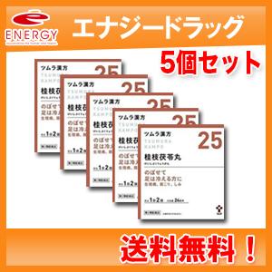 最適な価格 第2類医薬品 送料無料 5個セット ツムラの漢方 25 桂枝茯苓丸料 けいしぶくりょうがんりょう エキス顆粒a 48包 散剤 5個セット 交換無料 Www Thedailyspud Com