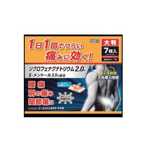 第2類医薬品】【大石膏盛】 ビーエスバンZXテープ 大判 7枚