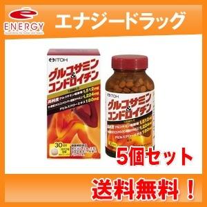 【5個セット！送料無料！】　グルコサミン＆コンドロイチン　108g（300mg×360粒）　【井藤漢方】｜denergy