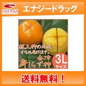 【送料無料・予約受付中・11月中旬発送予定】令和7年産 【献上柿の産地 会津御山産】　会津みしらず柿　【　3Ｌサイズ　5kg　】  約17玉 約5キロ