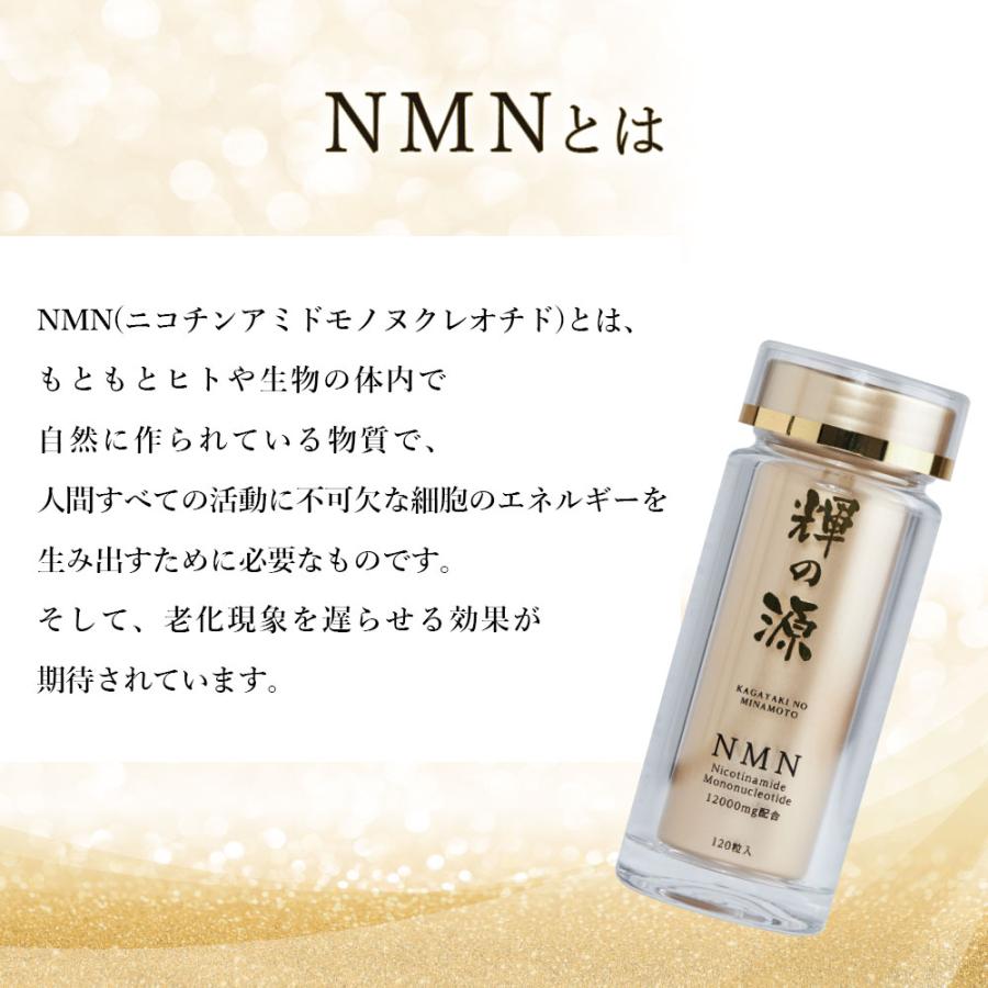 送料無料】輝の源 120粒 NMN 高品質 純度99% エイジングケア 美容 