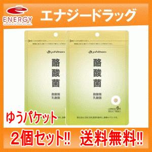 　酪酸菌×2個　ファイテン　酪酸菌　送料無料　メール便　2個セット｜denergy