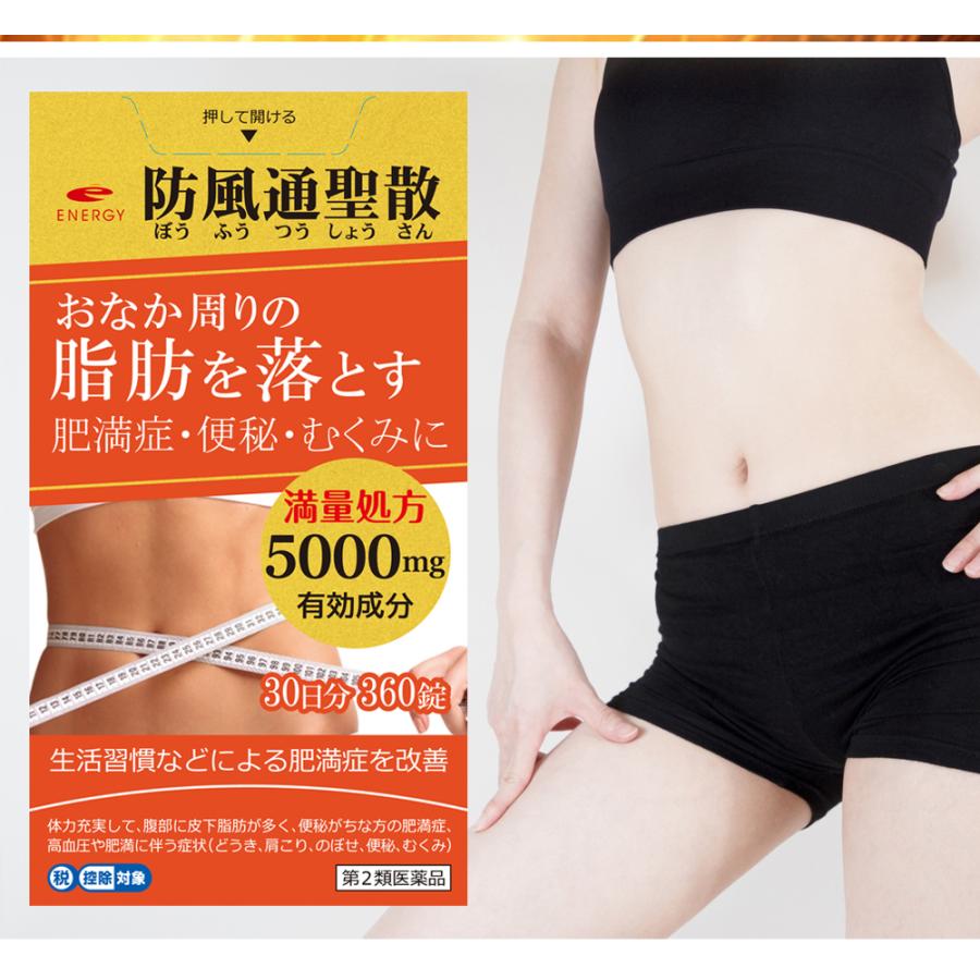 ENERGY 【送料無料】2個セット エナジー 防風通聖散料5000 360錠 ENERGY 【送料無料】2個セット エナジー 防風通聖散料5000 360錠