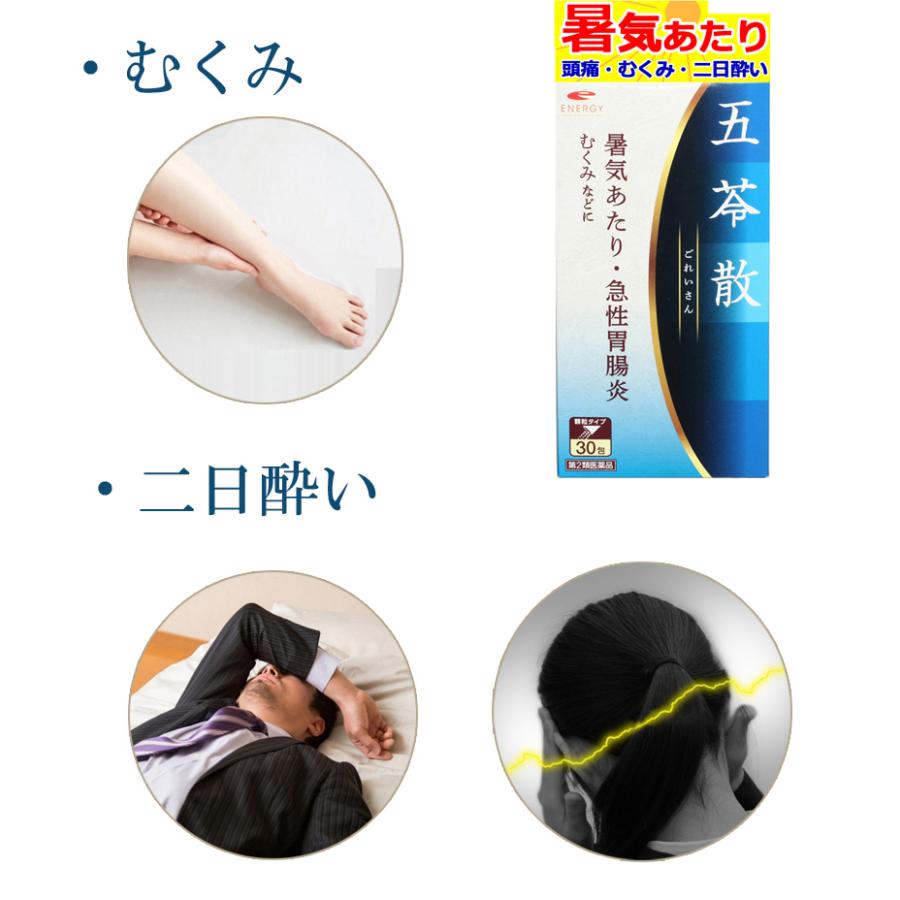 ENERGY 【送料無料・2個セット】二日酔いに エナジー 五苓散料 ENERGY 【送料無料・2個セット】二日酔いに エナジー 五苓散料