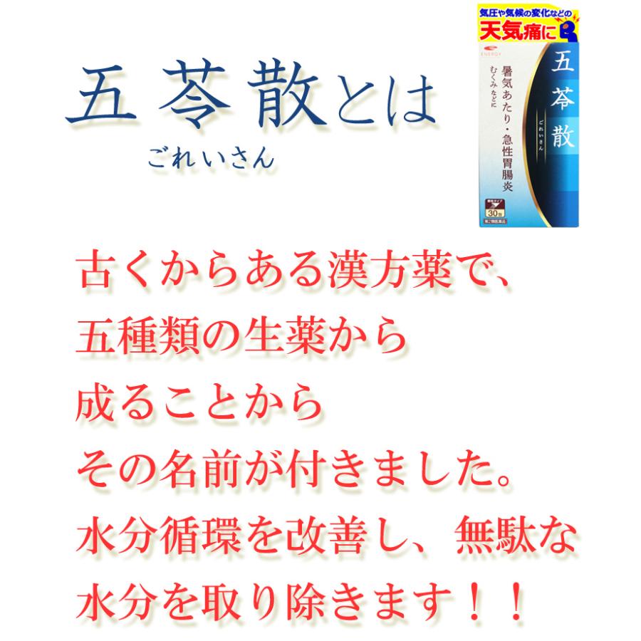 ENERGY 【送料無料・2個セット】二日酔いに エナジー 五苓散料 ENERGY 【送料無料・2個セット】二日酔いに エナジー 五苓散料