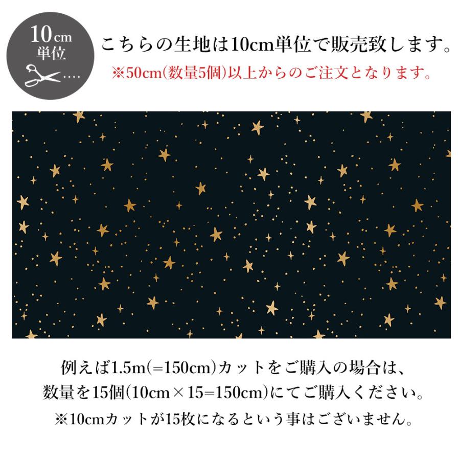 10cm単位 コットンアンドスティール  生地 星柄 プリント シーチング 手芸 ハンドメイド ポーチ バッグ USA コットン 綿 プリマベーラ スターズ COTTON+STEEL | ブランド登録なし | 04