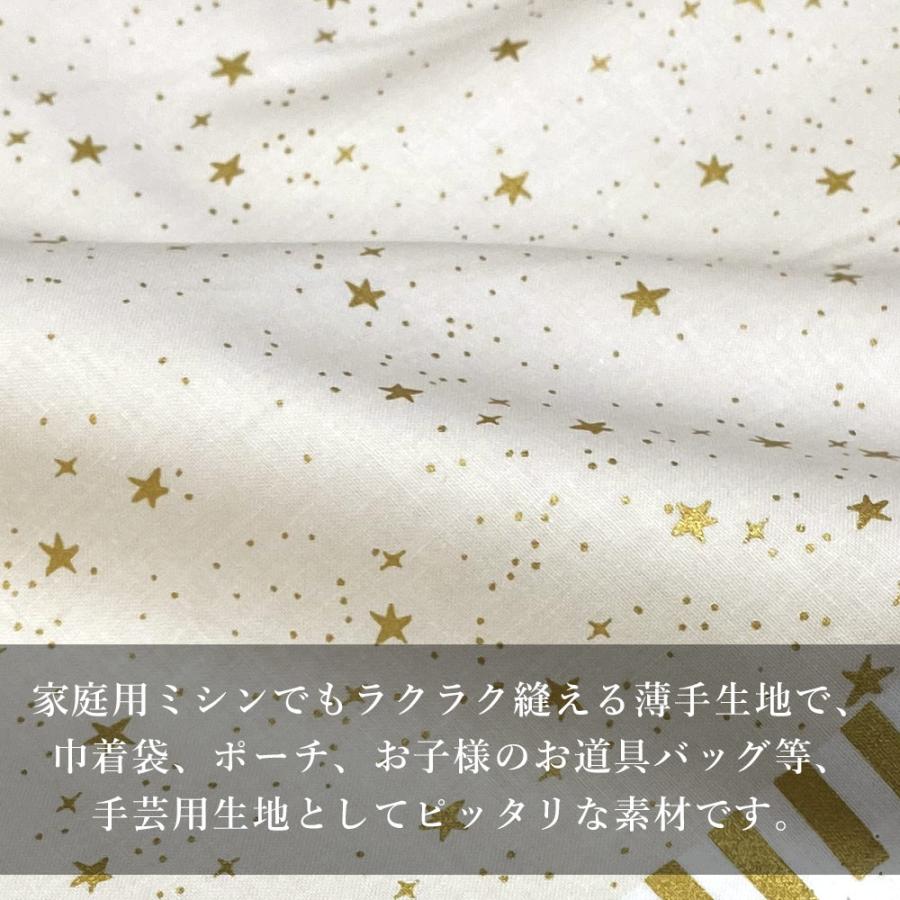 10cm単位 コットンアンドスティール  生地 星柄 プリント シーチング 手芸 ハンドメイド ポーチ バッグ USA コットン 綿 プリマベーラ スターズ COTTON+STEEL | ブランド登録なし | 06