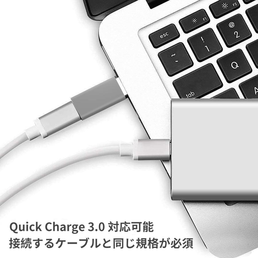 USB 変換アダプタ Type C (メス) to USB 3.0 (オス)小型 10Gbps 急速充電＆高速データ同期 OTGアダプタコネクタコンバータ PC 充電器等対応｜denimstorm｜11