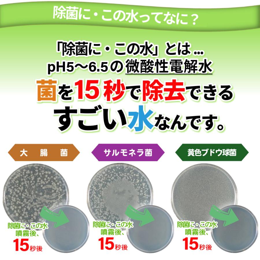 除菌剤　Mr. 除菌　スプレー　300ml 5本 微酸性電解水 除菌に・この水 300ml 付替5本セット : 電解水ショップ