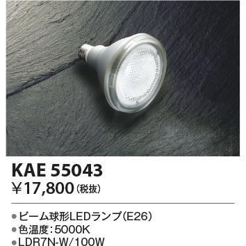 ODELIC コイズミ照明 KAE55043 ビーム球100W相当/50K : でんきサロンま  