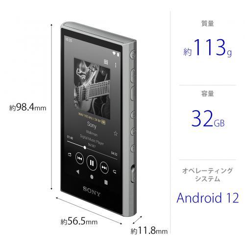 SONY（ソニー） ポータブルオーディオプレーヤー Walkman(ウォークマン