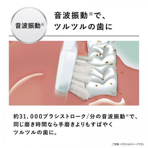 Panasonic パナソニック 電動歯ブラシ 白 音波振動ハブラシ Panasonic パナソニック 電動歯ブラシ 白 音波振動ハブラシ