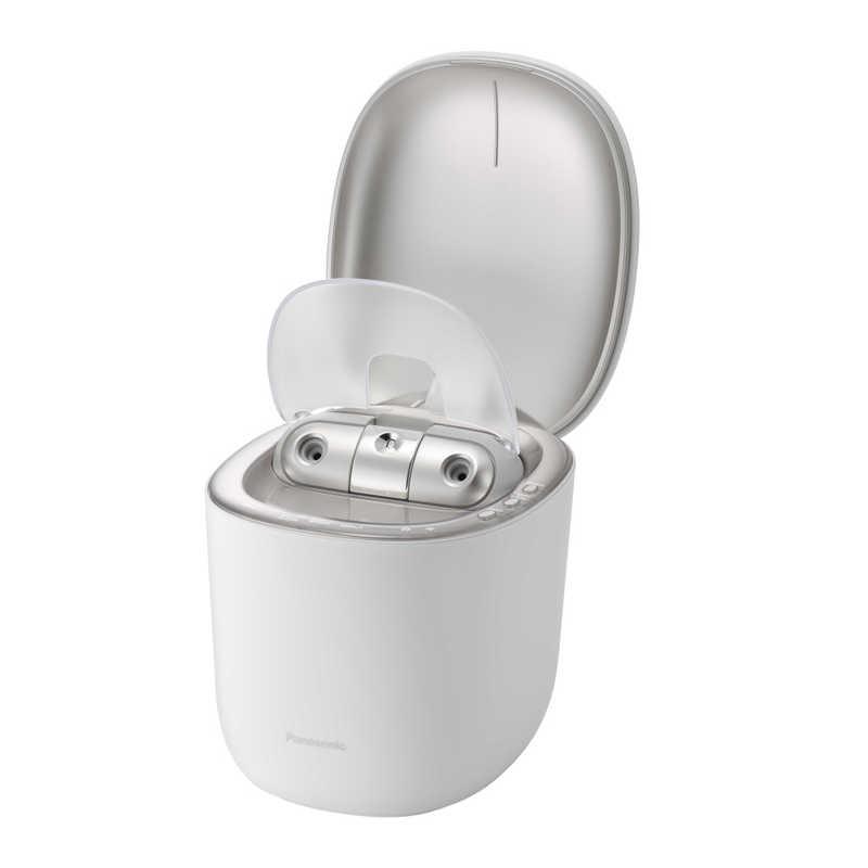 パナソニック Panasonic スチーマー ナノケア SKINACT STEAMER MULTI