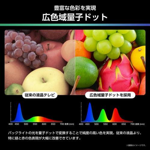 ハイセンス Hisence 4K液晶テレビ 50V型 50U6R (宅配サイズ商品 / 設置