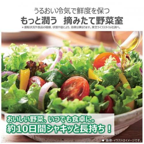 送料設置無料　東芝　自動製氷機能付き大型冷蔵庫　330L 東芝 冷蔵庫 452L 左開き 5ドア 幅60cm 奥行スリム 3段冷凍室 広々冷蔵